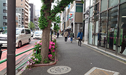 秋葉原駅構内の写真